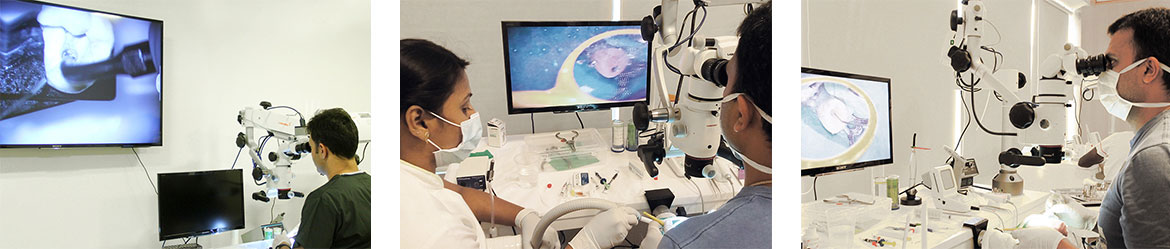 The Microscope Training Center Bangalore India | India’s finest training center for Microscopic Endodontics