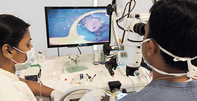 Two-day Beginner’s course in Microscopic Endodontics